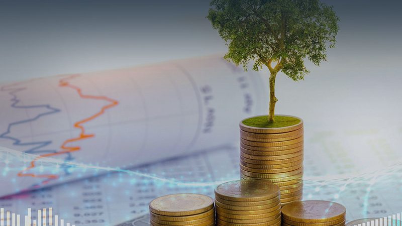 企业管理咨询的收费之道：揭秘定价背后的逻辑**
